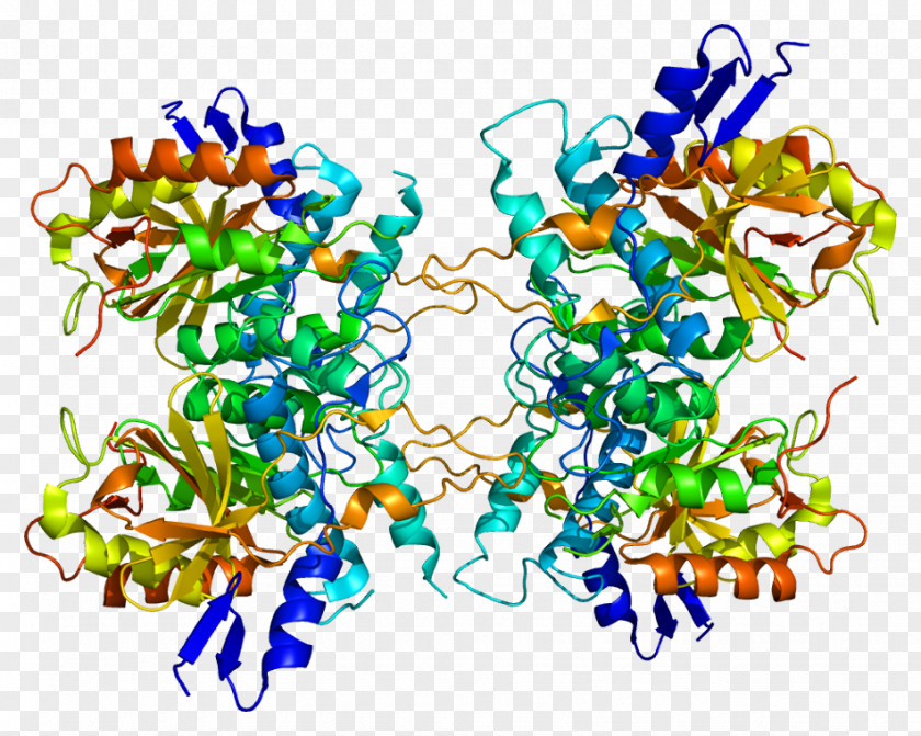 Autophagy Protein ATG4A ATG8 Cysteine Protease PNG