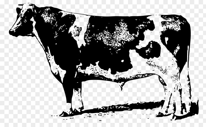 Cow Pattern Beef Cattle Jersey Clip Art PNG