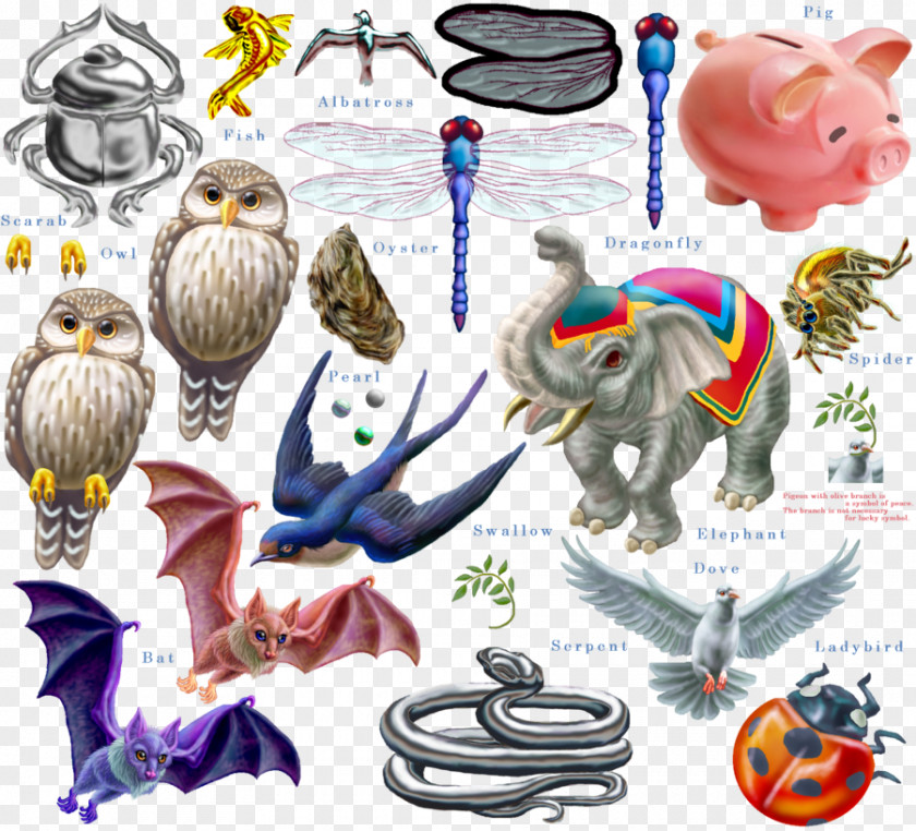 Good Luck Symbols Organism Animal Clip Art PNG
