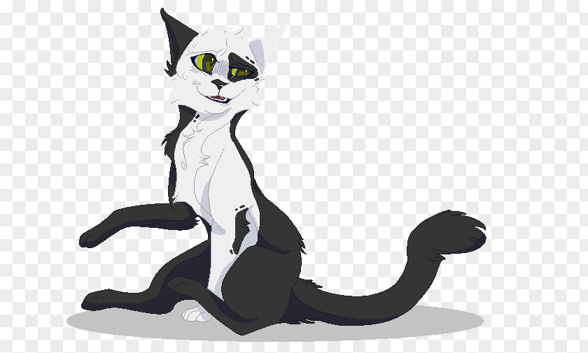 Kitten Whiskers Cat Art Dog PNG