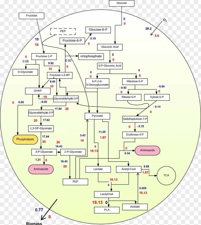 Line Diagram Angle PNG