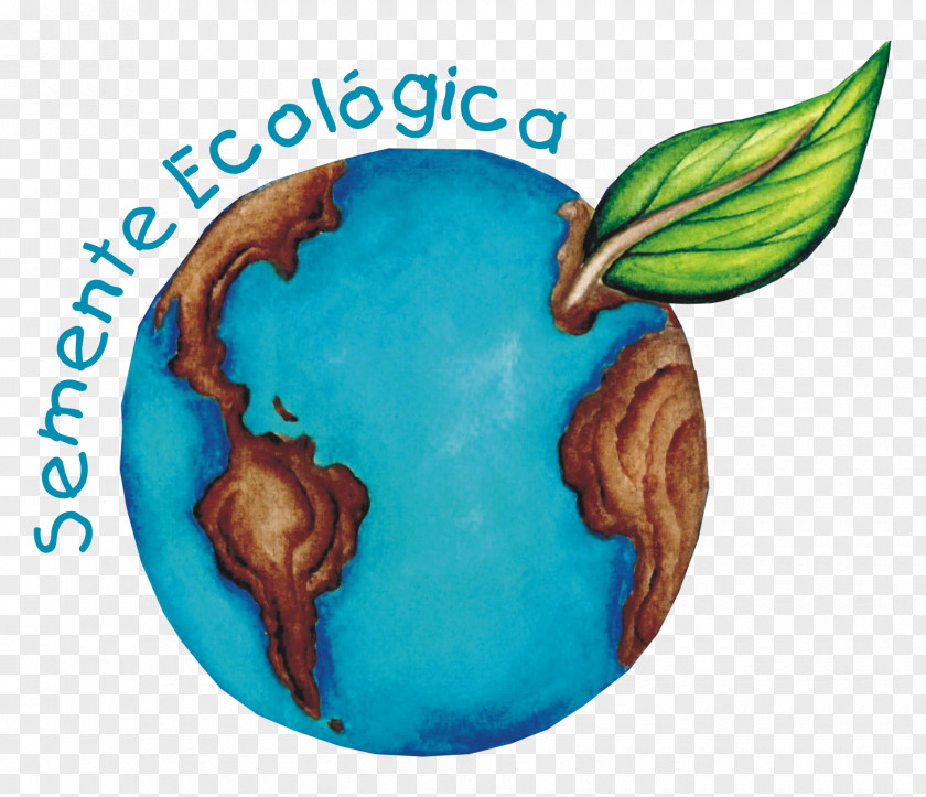 Natural Environment Ecology Environmental Education Organism Seed PNG