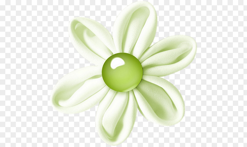 White Flower Download Pearl Jewellery PNG