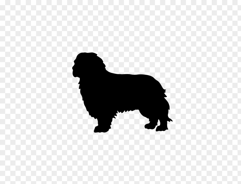 Chinese Crested Dog Newfoundland Puppy Cavalier King Charles Spaniel Breed PNG