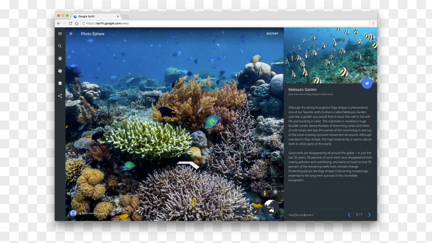 Coral Reef Catlin Seaview Survey The Ocean Agency Marine Biology PNG