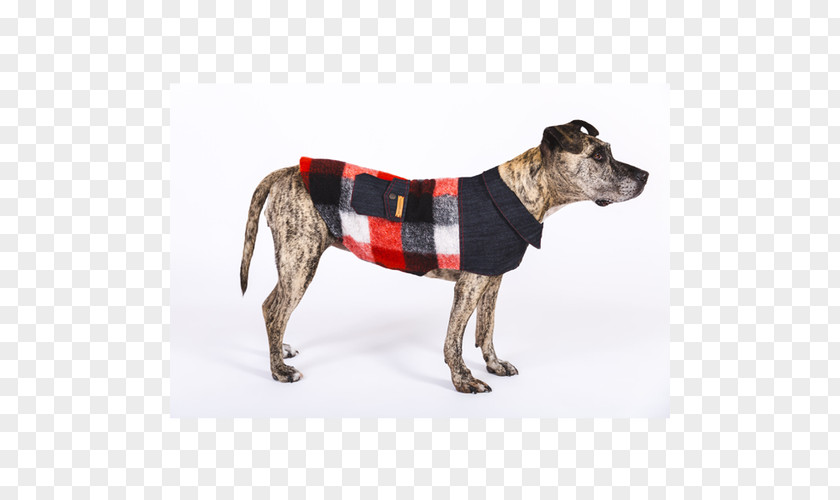Dog Breed Clothes Clothing PNG