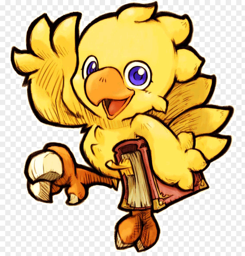 Smile Bird Line Art PNG