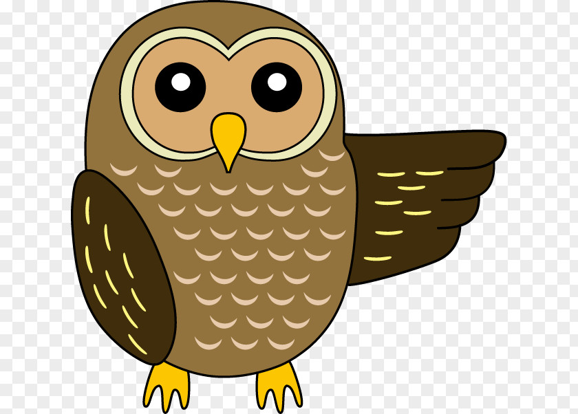 Bird Ural Owl Art Clip PNG