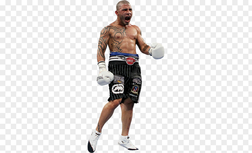 Boxing Glove Miguel Cotto Vs. Canelo Álvarez BOXINGEGO Video PNG