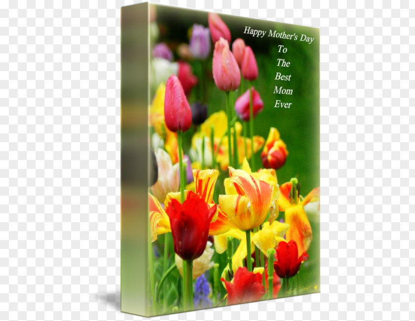 Happy Mothers' Day Floral Design Cut Flowers Tulip Wildflower PNG