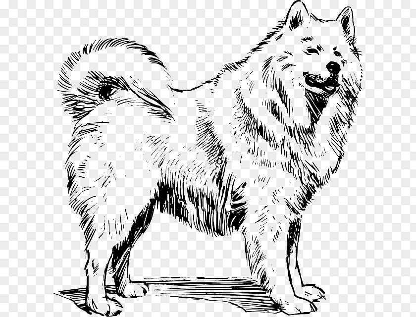 Sika Deer Samoyed Dog Alaskan Malamute Akita Breed Clip Art PNG