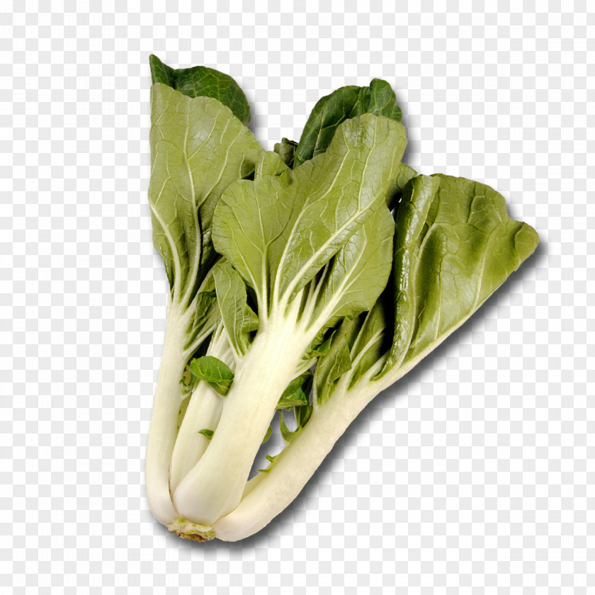 Vegetable Romaine Lettuce Chard Spinach Quiche Puff Pastry PNG