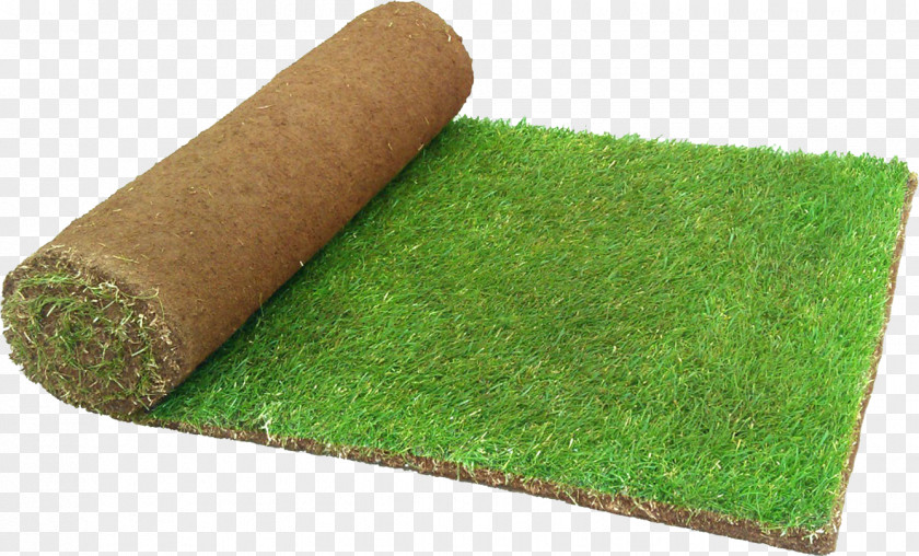Artificial Turf Lawn Landscape Design Garden Grass PNG