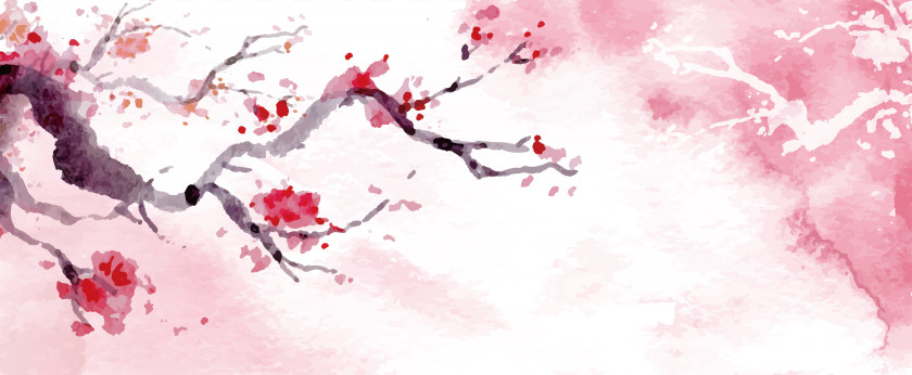 Cherry Blossoms Download Blossom Watercolor Painting PNG