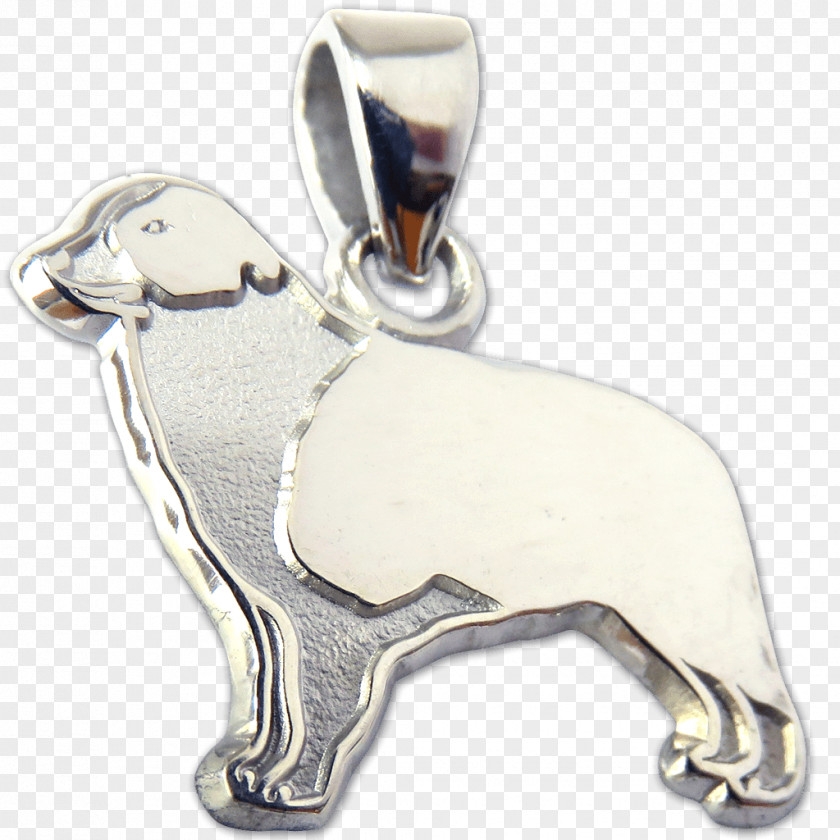 Dog Charms & Pendants Silver Body Jewellery PNG