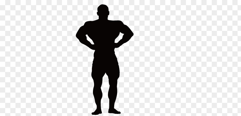 Fitness Silhouette Figures Bodybuilding Muscle Physical PNG