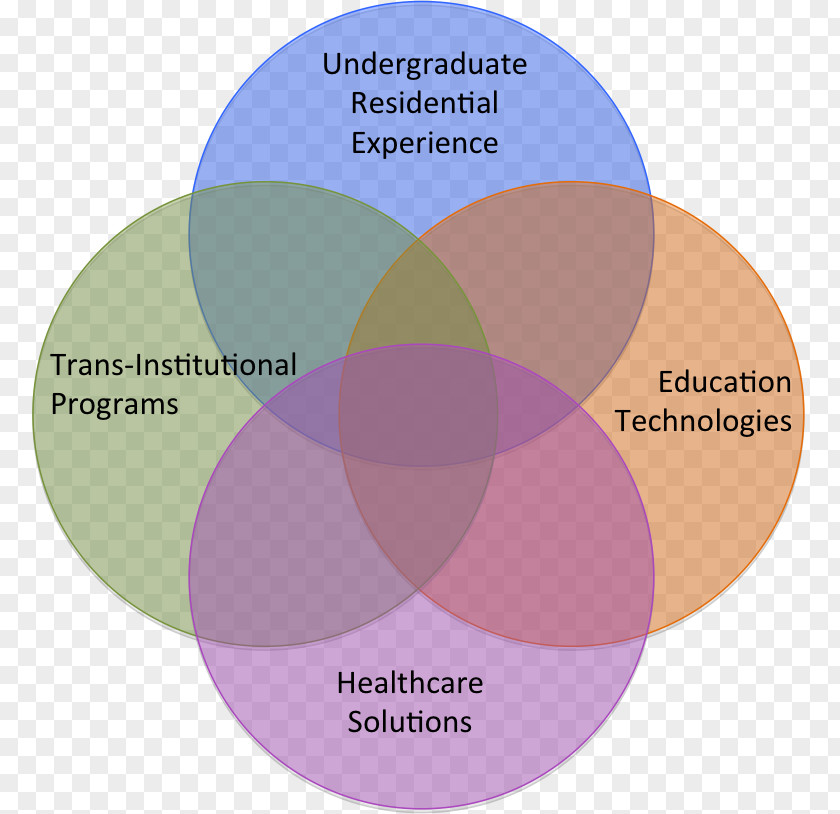 Four Pillars Of Destiny Vanderbilt University Diagram Family Brand PNG