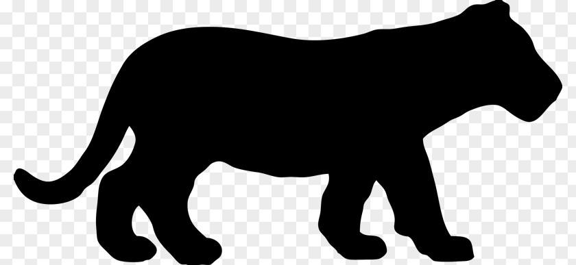 Lion Whiskers Tiger Black Panther Clip Art PNG
