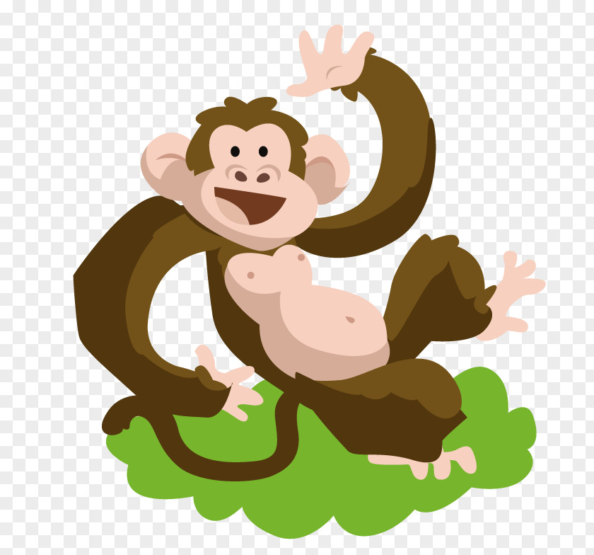 Monkey Capuchin Animal PNG