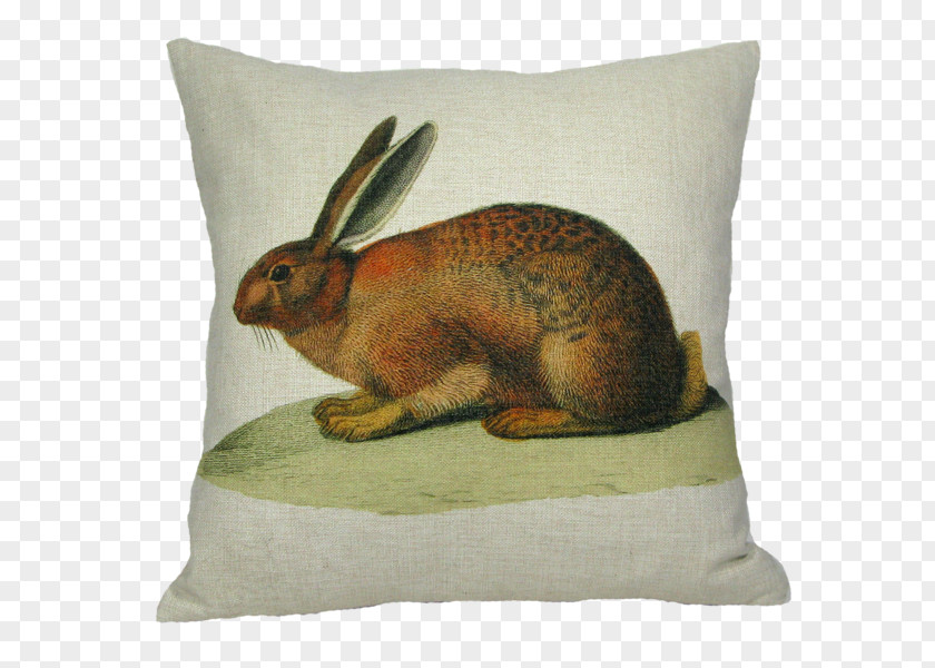 Pillow Domestic Rabbit Throw Pillows Easter Bunny PNG