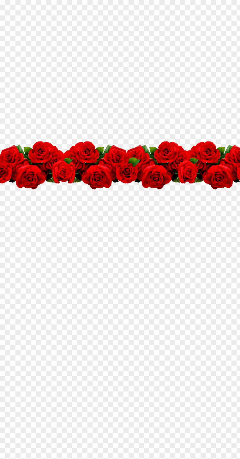 Roses, Red, Romantic, Valentine's Day Textile Petal Pattern PNG