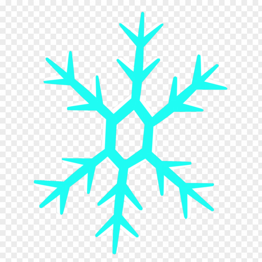 Snowflakes Snowflake Ice PNG