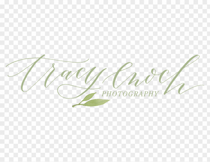 Weding Tracy Enoch Photography Text Wedding Photographer PNG