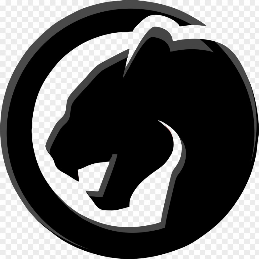 Black Panther Photography Cougar Drawing PNG