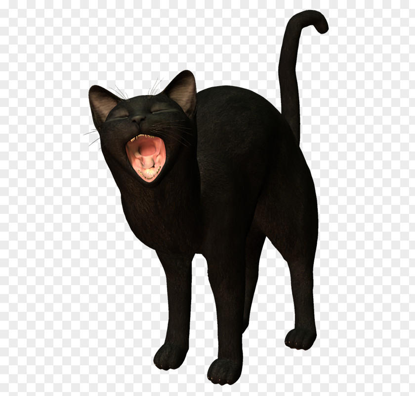 Gatos Black Cat Bombay Havana Brown Malayan Domestic Short-haired PNG