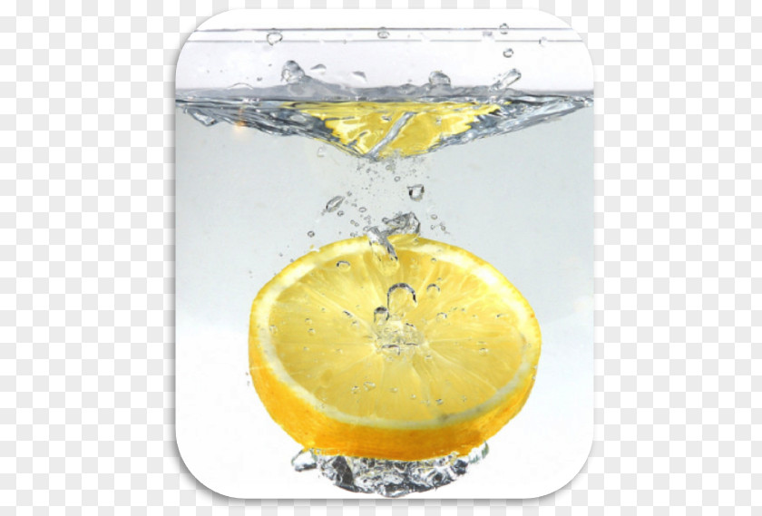 Lemon Drink Coconut Water Juice Ionizer PNG