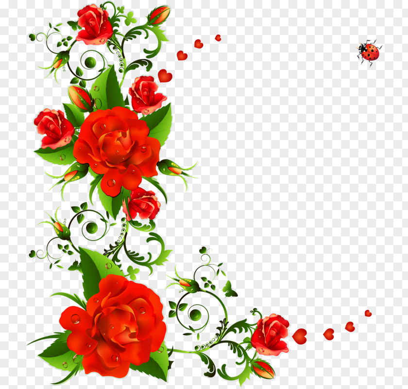 Rose Vector Graphics Clip Art Flower Floral Design PNG