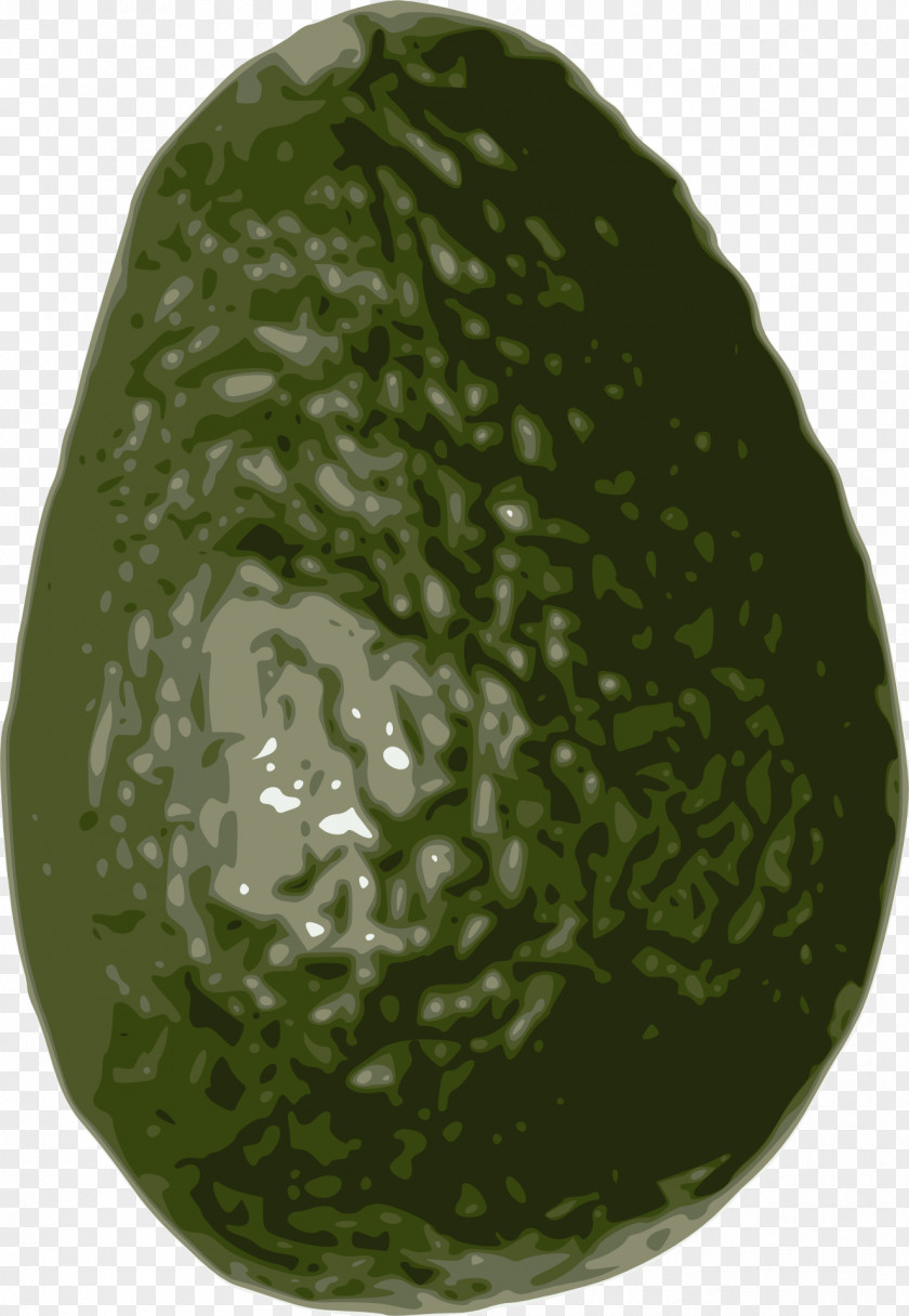 Salad Guacamole Avocado Clip Art PNG
