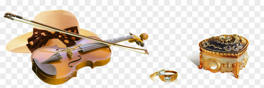 Tokens Of Love Ring Violin Engagement Google Images PNG