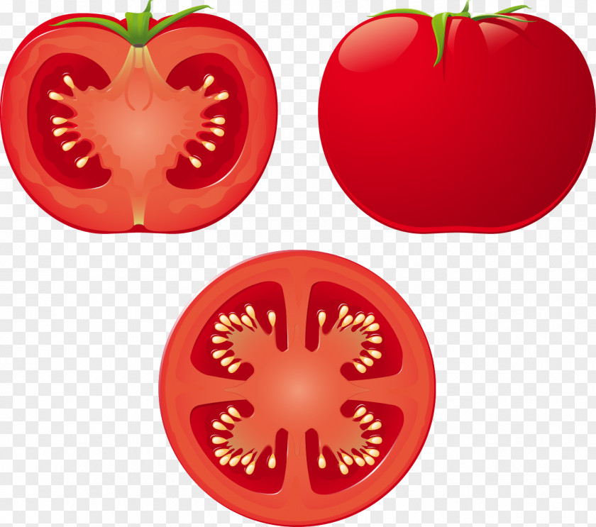 Vector Tomato Soup Royalty-free Clip Art PNG