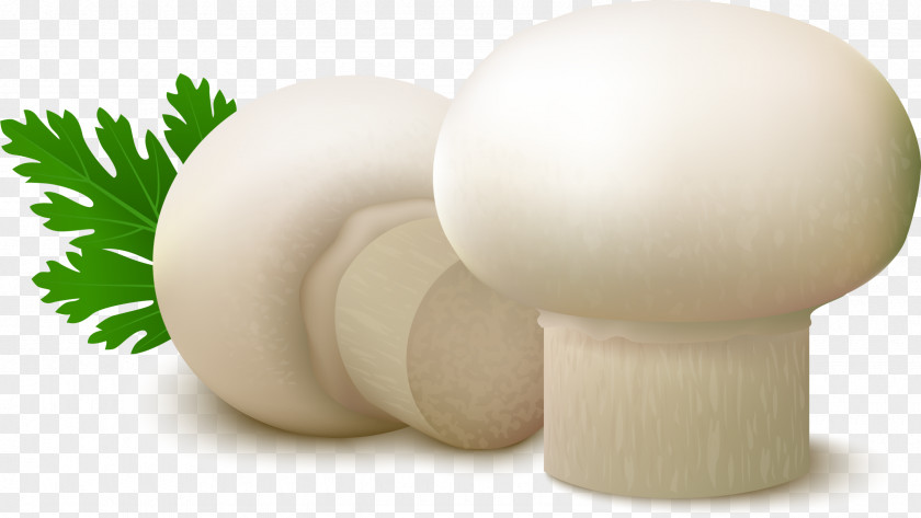 White Delicious Mushroom Common Food Fungus PNG