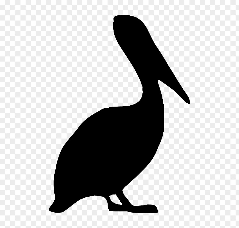 Animal Silhouettes Bird Brown Pelican Clip Art PNG