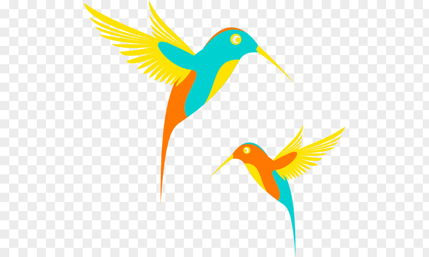 Design. Vector Hummingbird Clip Art PNG
