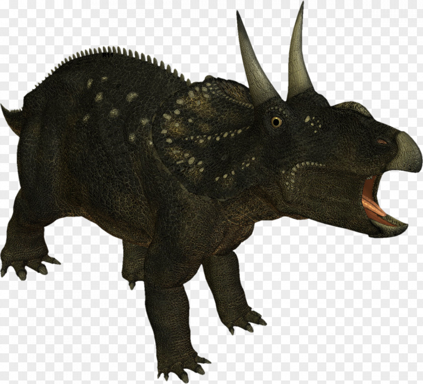 Dinosaur Triceratops Tyrannosaurus Dilophosaurus Ceratosaurus PNG