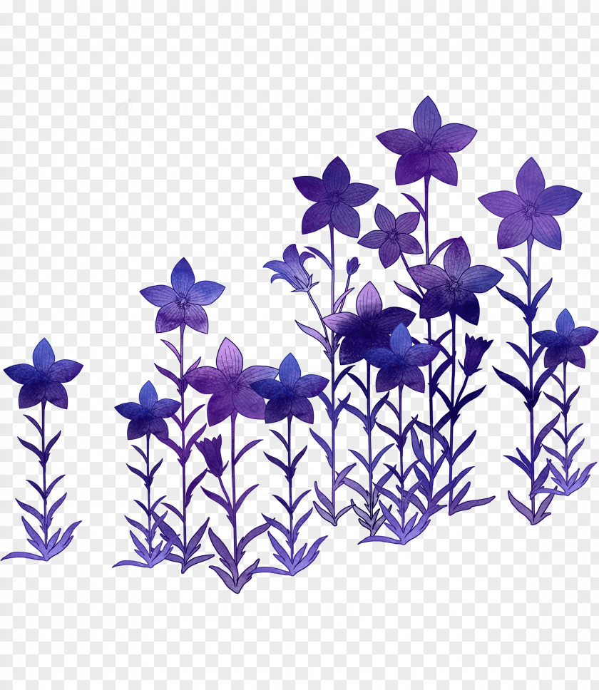 Floral Decoration Purple Flower Romance PNG