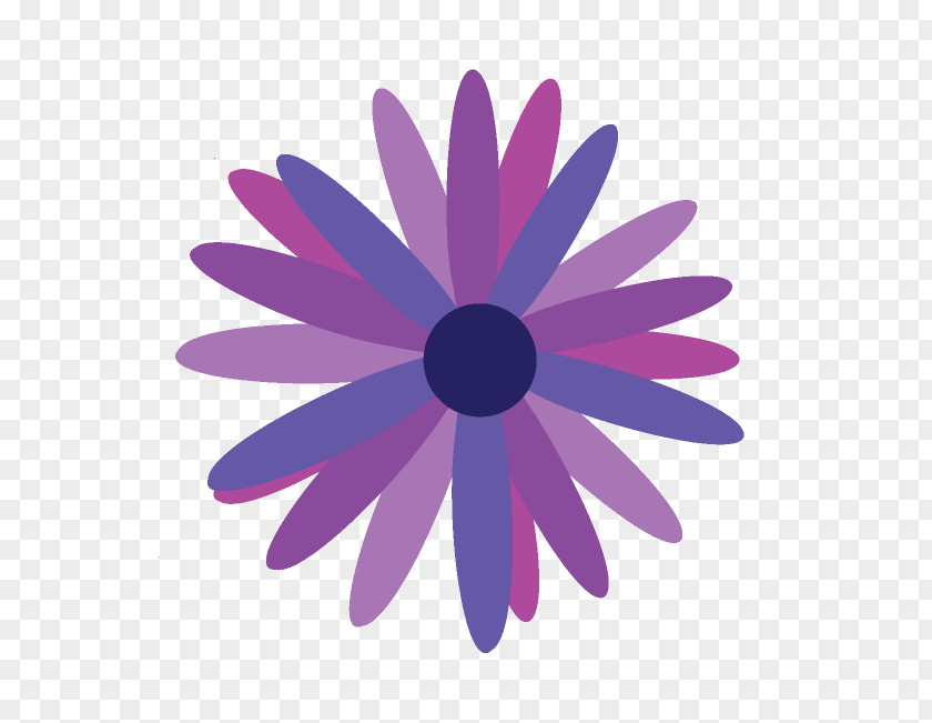Flower Common Daisy PNG