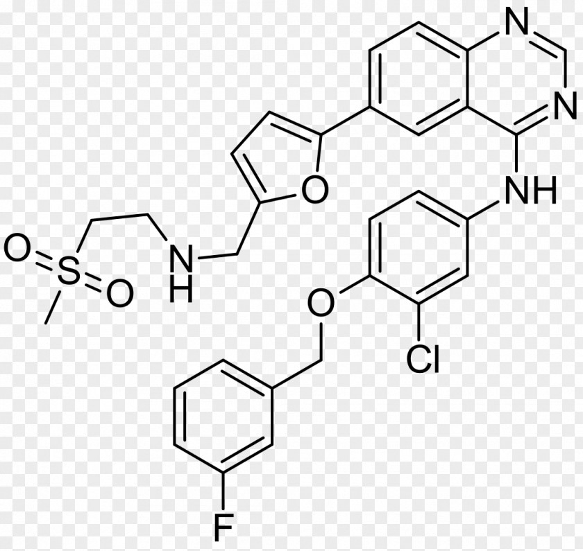 Lapatinib Epidermal Growth Factor Receptor HER2/neu Breast Cancer Pharmaceutical Drug PNG growth factor receptor cancer drug, others clipart PNG