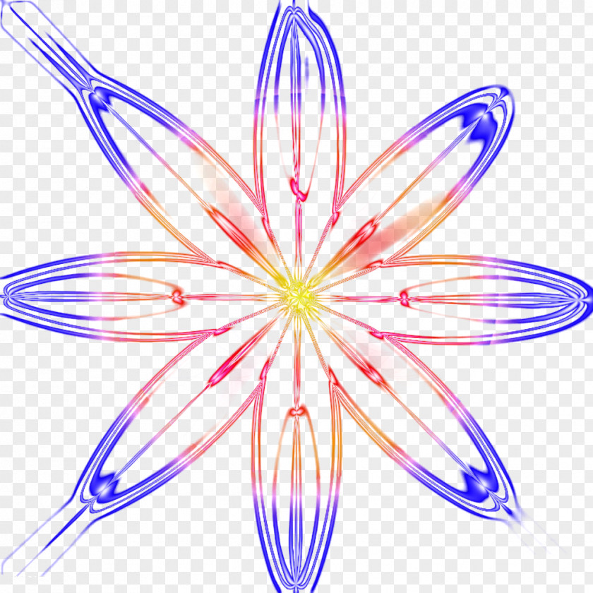 Light Effect Flowers Petal Luminous Efficacy Flower PNG