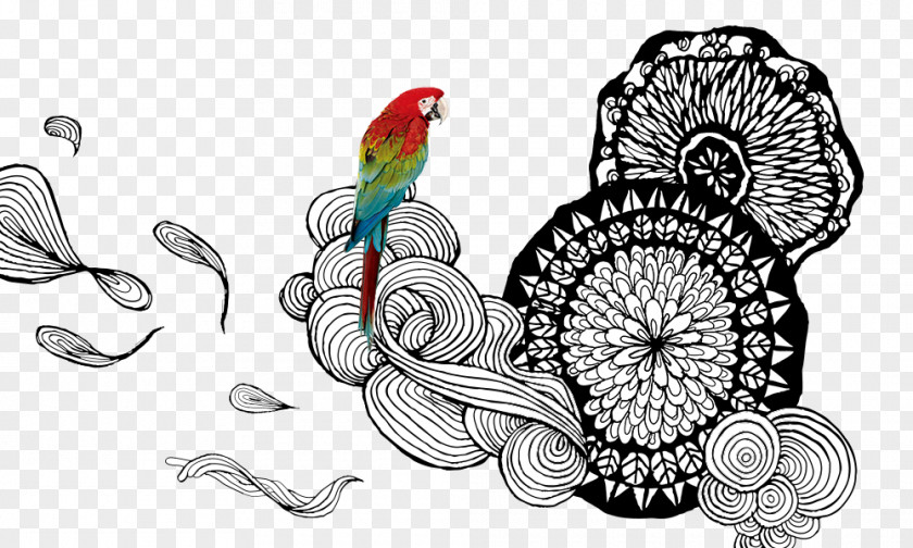 Parrot And Hand-painted Flowers Amazon Drawing PNG