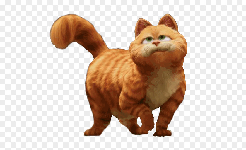 Shrek Puss In Boots YouTube Film Live Action PNG
