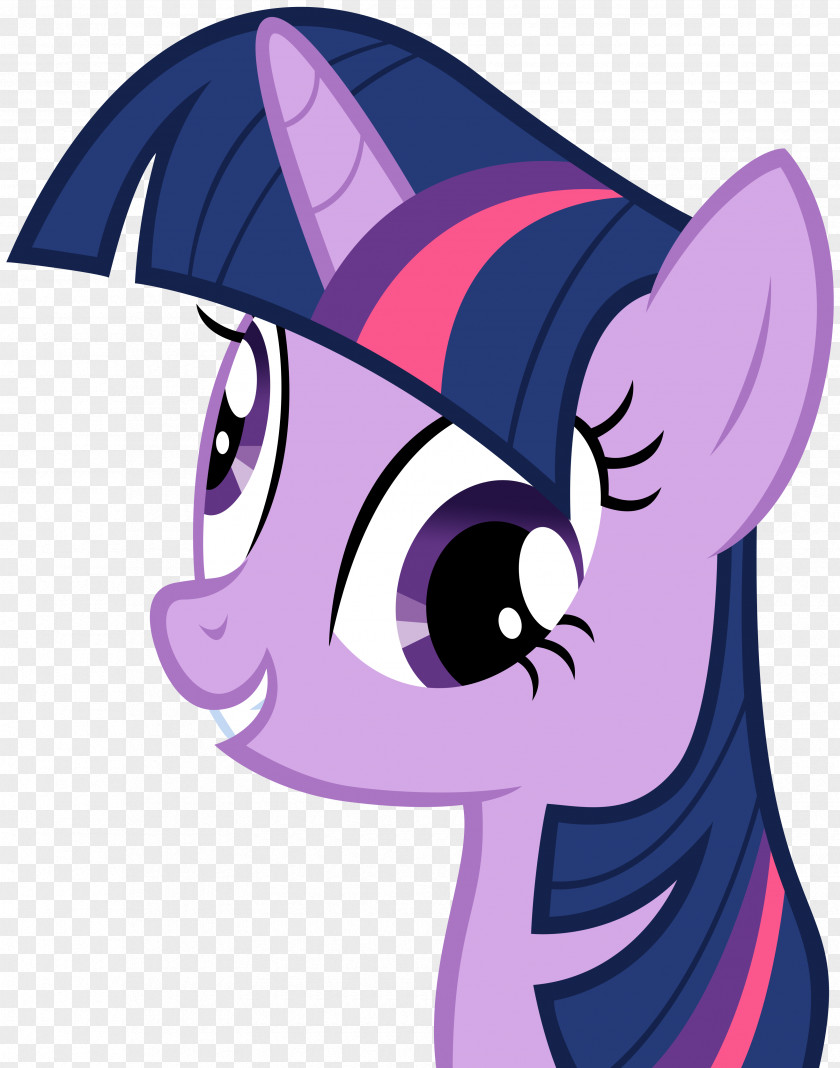 Twilight Sparkle Applejack Pony Rarity Pinkie Pie PNG