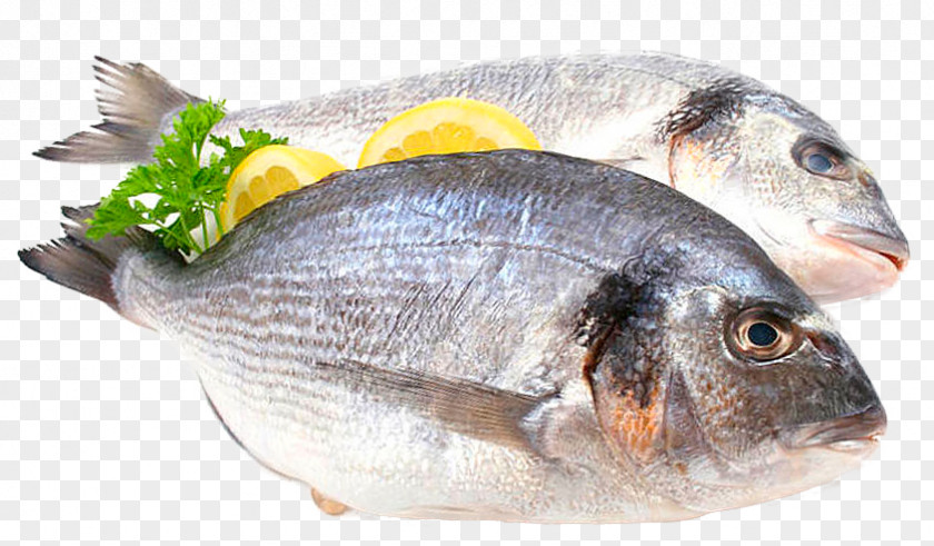 Food Fish Protein Gilt-head Bream Fat PNG