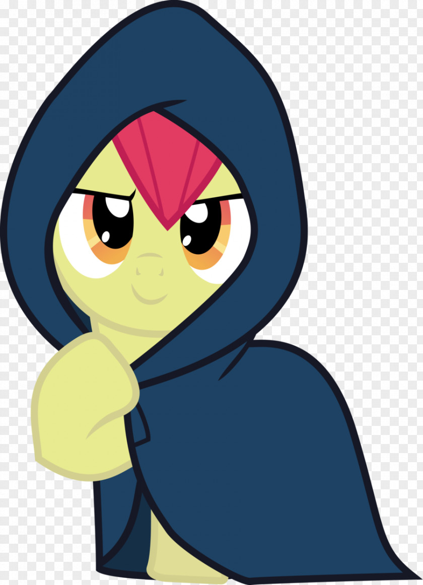 Hooded Cloak Apple Bloom My Little Pony: Equestria Girls Rainbow Dash Art PNG