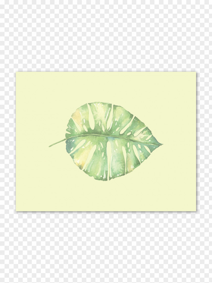Tropical Rain Forest Paper Leaf Art Printmaking Printing PNG
