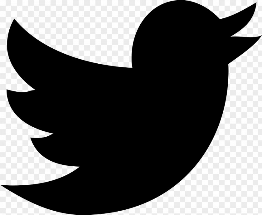 Twitter Bird Logo PNG