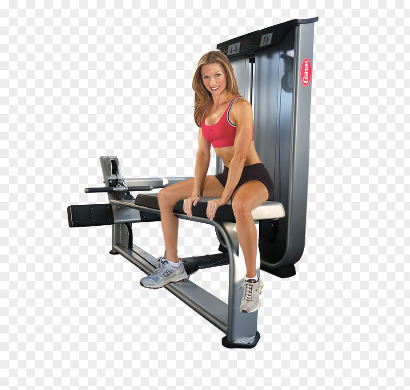 Bodybuilding Fitness Centre Physical Weight Training Exercise Equipment PNG